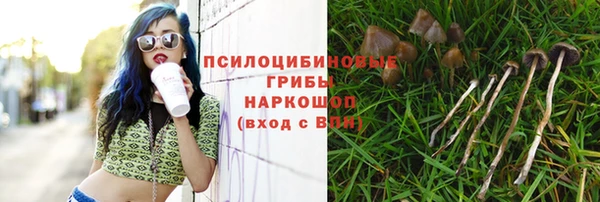 марки lsd Балахна