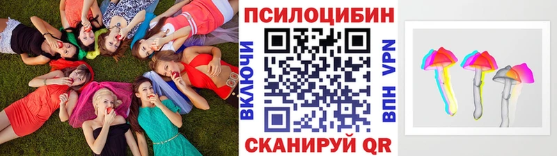Псилоцибиновые грибы MAGIC MUSHROOMS  где найти наркотики  Белинский 