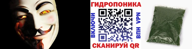 Бошки Шишки семена  Белинский 